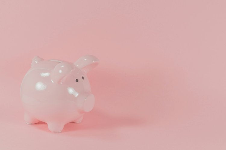 Water and Cost Savings for a Sustainable Lifestyle